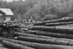 Sgewerk Ratkowitsch St. Georgen Holzarbeiten