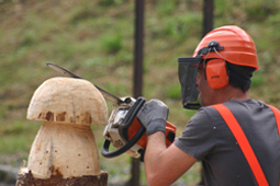 nger Motorsgenschnitzkurs Sgewerk Ratkowitsch St. Georgen
