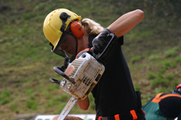 Anfnger Motorsgenschnitzkurs Sgewerk Ratkowitsch St. Georgen