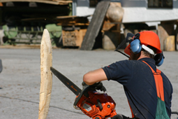 nger Motorsgenschnitzkurs Sgewerk Ratkowitsch St. Georgen