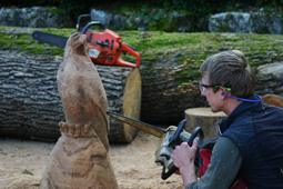 Motorsgenschnitzkurs Sgewerk Ratkowitsch St. Georgen